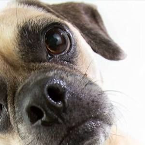 Meet your Posher, Sean